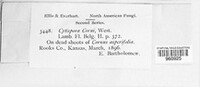 Image Associated With the Occurence